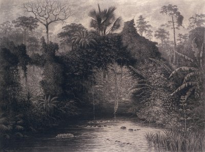 View of the Gulf of Biafra, West Africa, 1877 by Emma Sandys